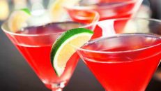 Tutte le ricette dei Cocktails in una nuova pagina web