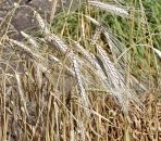 L’estate a tavola: i nutrienti fondamentali per affrontare al meglio il caldo